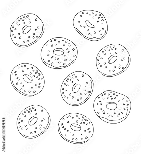 Handdrawn black and white plant cell diagrams with transparent background biology