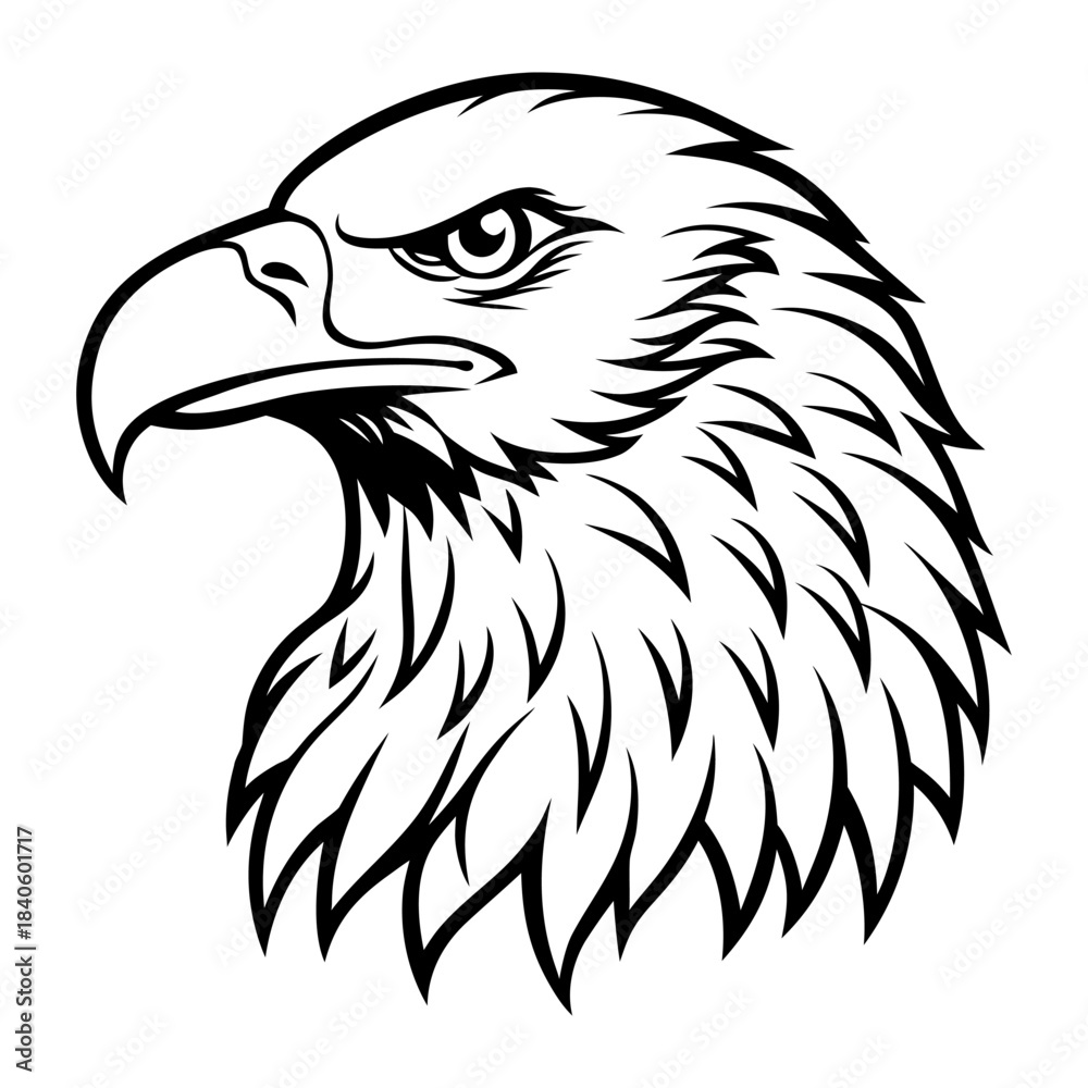 Obraz premium Bald Eagle Head