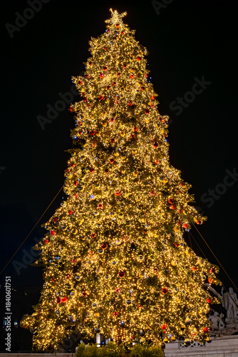 The decorated and illuminated Christmas tree in Piazza del Popolo in Rome, Italy