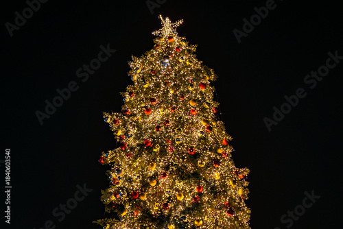The decorated and illuminated Christmas tree in Piazza del Popolo in Rome, Italy
