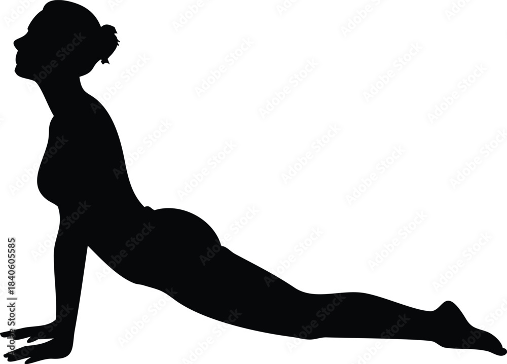 Fototapeta premium Cobra Pose Silhouette Vector Illustration Transparent Background