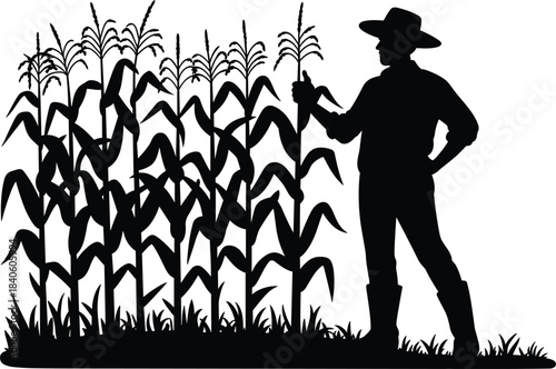Farmer silhouette standing in corn field, agriculture, farming, crop harvest, country man worker, rural labor