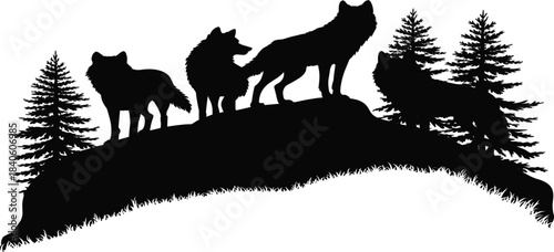 Wolf pack silhouette vector illustration, wild animal, forest nature, wildlife, wilderness, pine trees, ridge