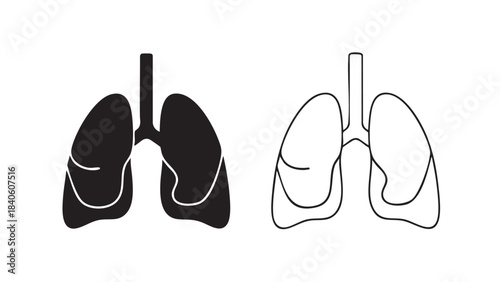 193_A_clean_minimal_vect_2_2025128_84824_traced