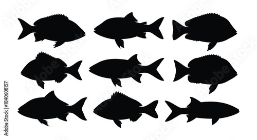 A collection of black silhouette fish arranged in a grid pattern