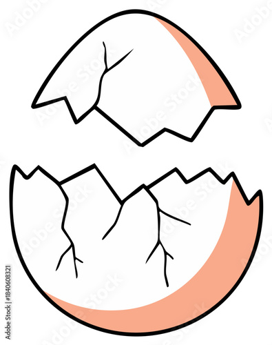 Cracked open empty eggshell with delicate internal shading