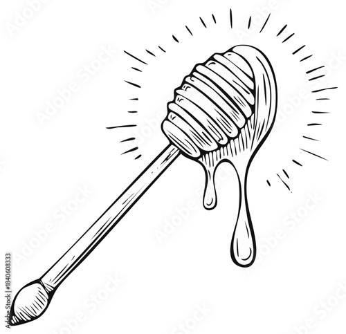 Hand drawn illustration of honey dipper dripping with honey, representing sweetness, indulgence and natural food ingredient, isolated vector