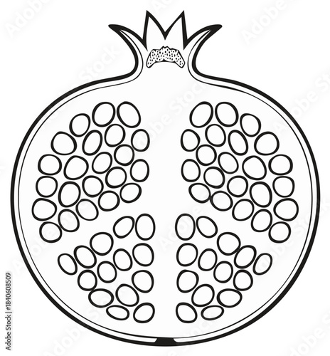 Pomegranate Cross Section Outline with Seeds Inside, Black and White Style
