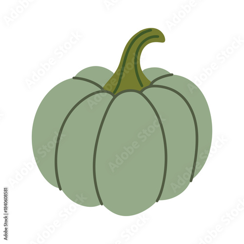 A round pumpkin with a natural sage green color and a dark stem. A ripe autumn vegetable icon, representing the diversity of the harvest season and farm produce.