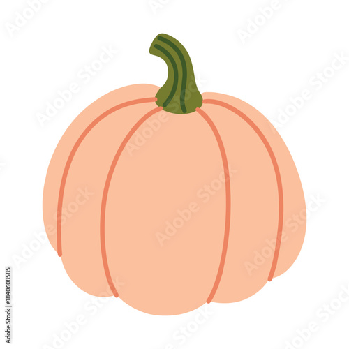 A round pumpkin in a soft pastel pink shade with a curved stem. A trendy and cute autumn vegetable illustration, perfect for modern Halloween decor or baby shower themes.