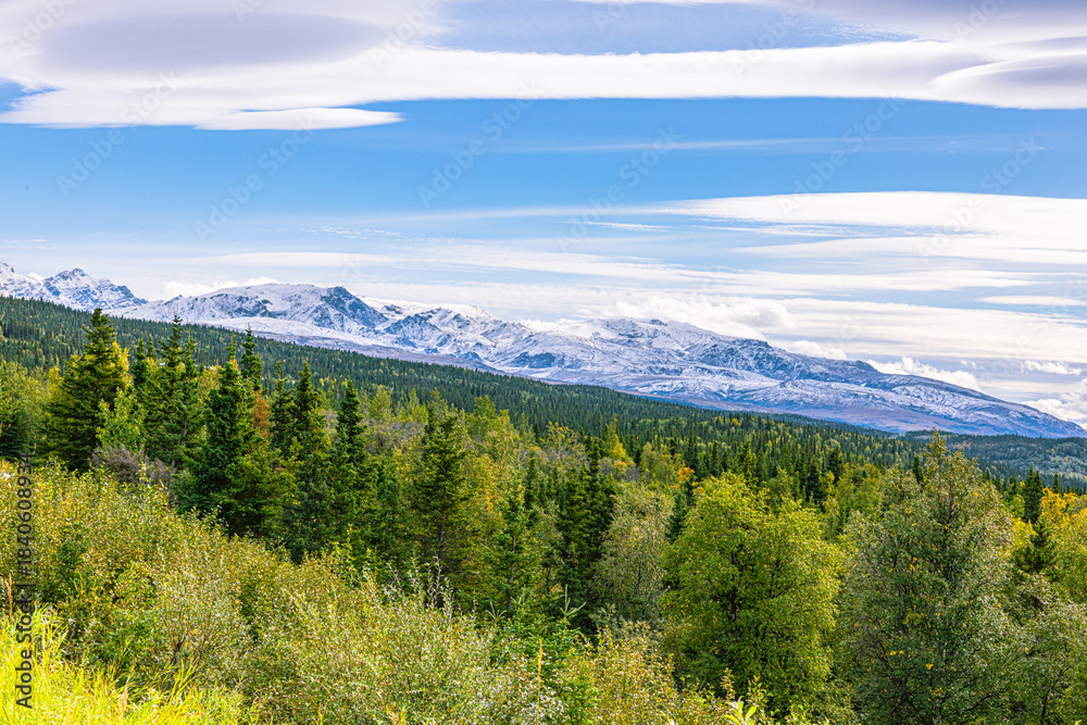 Obraz premium Dense boreal forest stretching toward rolling mountain ranges beneath a wide northern sky in Interior Alaska. A tranquil wilderness scene far from civilization.