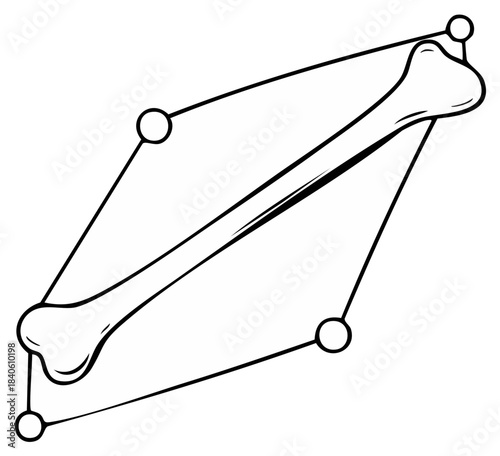Biomechanical Tensegrity Structure with an Anatomical Bone Black and White Line Art Illustration