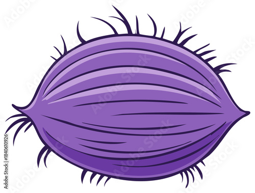 Illustration of an Oval Exotic Fruit with Spikes, Purple Color and Longitudinal Stripes