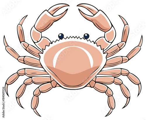 Illustrated Marine Crab with Raised Claws, Cartoon Sea Animal Graphic