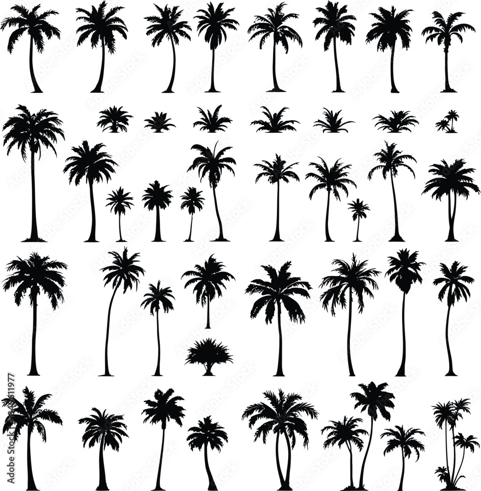 Fototapeta premium Monochrome Vector Illustration of Diverse Palm Tree Silhouettes Depicted in Minimalist Style Featuring Varied Trunk Shapes and Leaf Arrangements to Represent Tropical Flora, Botanical Diversity,