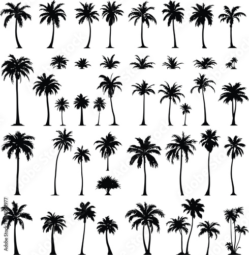Monochrome Vector Illustration of Diverse Palm Tree Silhouettes Depicted in Minimalist Style Featuring Varied Trunk Shapes and Leaf Arrangements to Represent Tropical Flora, Botanical Diversity, 
