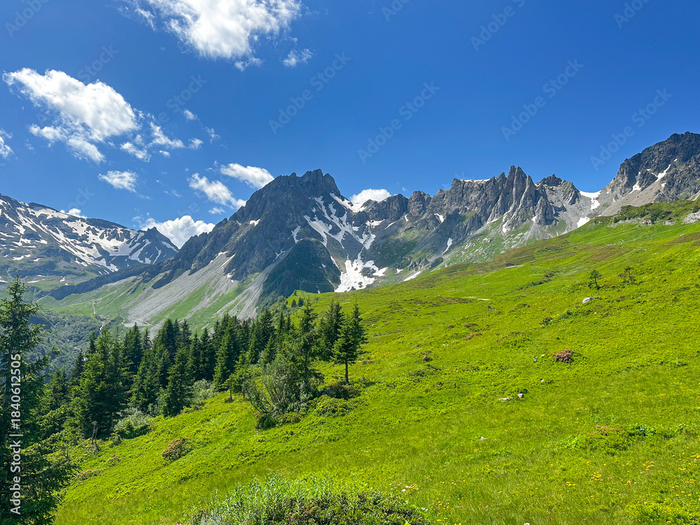 Fototapeta premium Alpine Meadow among the Trees on a Summer Day in France