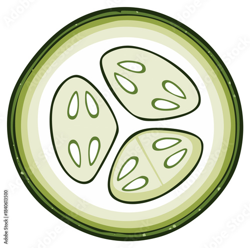 Detailed Vector Illustration of a Fresh Green Cucumber Slice with Visible Seeds