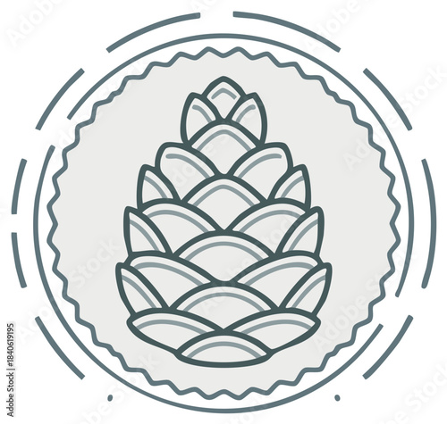 Stylized botanical cone illustration within a decorative circular frame with intricate lines