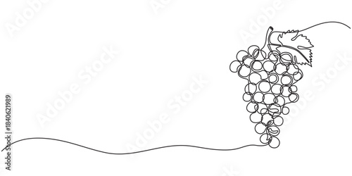 Continuous one line drawing of a bunch of grapes, representing elegance and natural sweetness, line art style vector illustration, Bunch of grapes. Minimalist line drawing, one continuous line, pro.