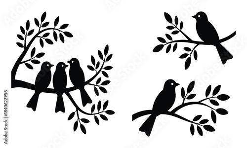 Minimalist bird silhouettes on tree branches, nature vector art