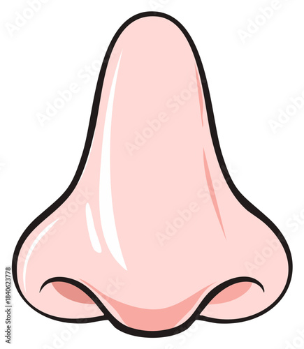 Cartoon illustration of a human nose. Isolated on white background.