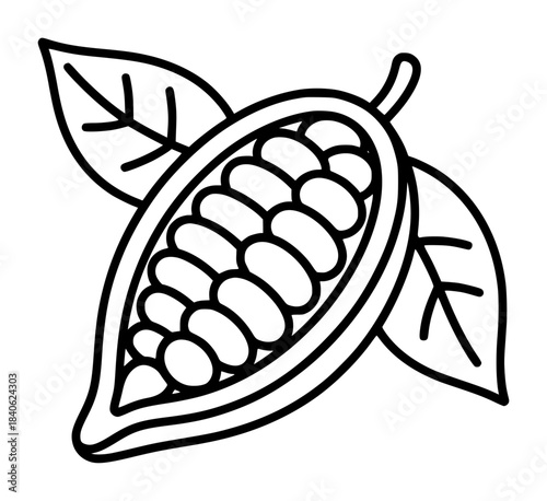 Black and white line of a detailed leaf with seed pod and veins