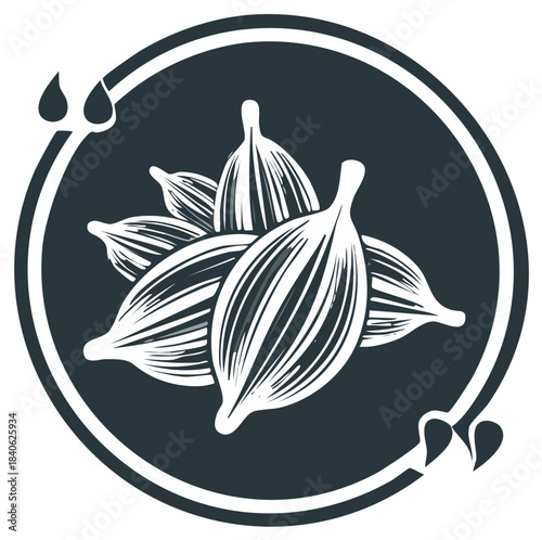 Vector icon of cardamom pods in a circular frame. Aromatic spice sketch for a logo or packaging design