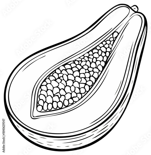 Hand drawn black and white vector illustration of a tropical papaya fruit sliced in half with seeds