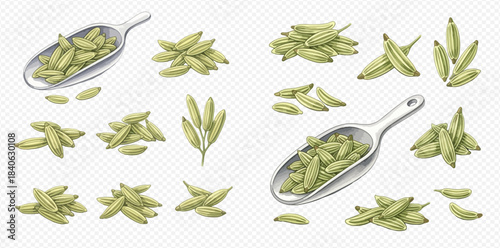 Set of green cardamom pods and seeds, aromatic spice for cooking and baking.