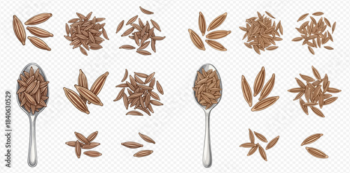 Cumin Seeds and Spoons Set: A Collection of Aromatic Culinary Spice for Flavorful Dishes.
