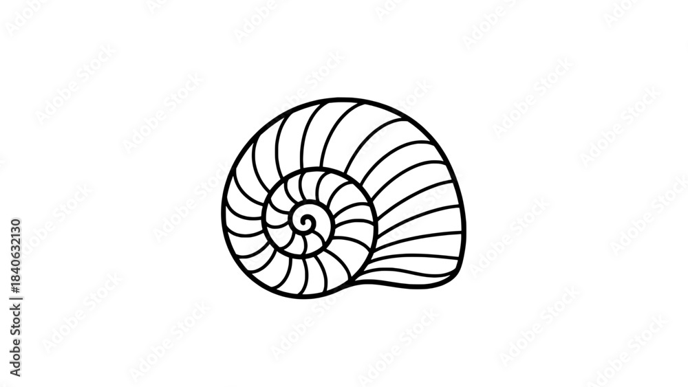 Obraz premium Minimalist line art of a spiral nautilus shell – black outline vector illustration on white background