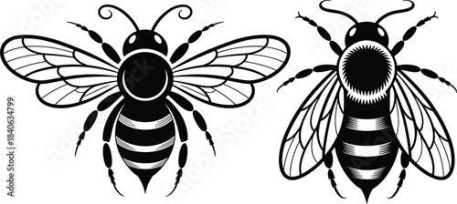 Honey bee vector set illustration, bumblebee, striped insect, nature animal, apiary farming, vintage emblem design