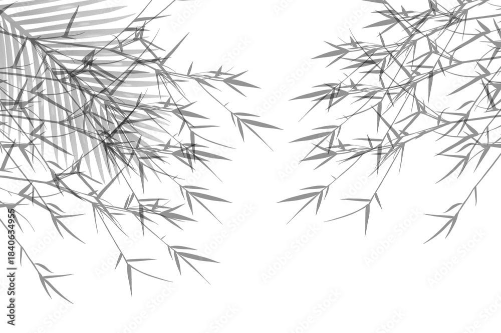 Obraz premium Grey Bamboo Leaf Border Background