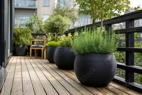 Display of potted plants on a wooden deck in a residential area with greenery thriving among the planters during daylight hours