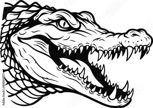Monochromatic vector line art of a fierce crocodile or alligator head with open mouth and sharp teeth, roaring wildlife animal mascot or logo.