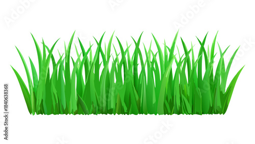 Lush green grass illustration forming a vibrant natural border, symbolizing fresh growth, nature's beauty, and ecological health, ideal for spring and outdoor themed designs