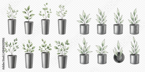 Set of watercolor potted plants with green leaves, home decor elements on transparent background.