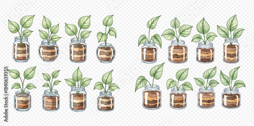 Watercolor illustration of various green plants in glass jars, perfect for decorative designs.