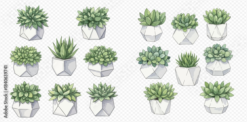 Watercolor illustration set of various green succulent plants in modern white geometric pots, isolated on a transparent background.