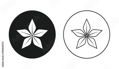 a detailed illustration showcases two distinct star anise designs one solid black and the other a white outline both within circular frames presenting a contrasting