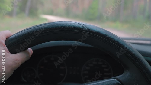 First person point of view of a person driving a car along a scenic, unpaved dirt road through a dense and beautiful pine forest during a summer day trip in the countryside