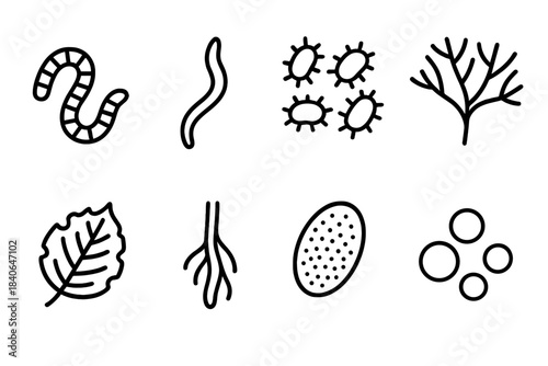 Soil Micro-Life Icons. Soil micro-life set linear set: earthworm, nematode icon, soil bacteria cluster, fungal hyphae, microbe spore, decomposing leaf, root hair, nutrient particle