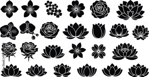 Flower silhouette, black floral design, botanical icon, vector bloom, petal shape, orchid, rose, lotus, tulip, cherry blossom, nature art