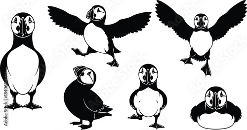 Line art high contrast puffins in varied poses wings spread sitting standing frontal gaze profile view isolated vector silhouettes black white ink style close up beaks
