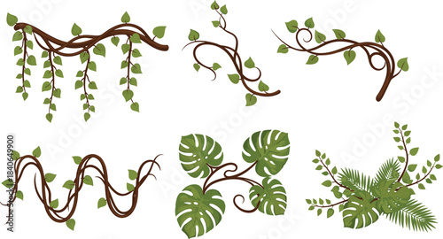 Jungle vine and tropical leaf illustration set with climbing branches, monstera foliage, lush greenery elements, rainforest decorative botanical vector collection