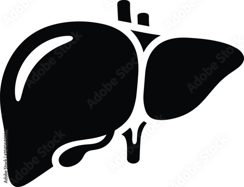 Black silhouette of human liver organ with vessels vector