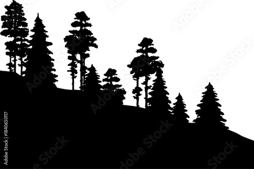 Deep Forest Folding Papercut black and white