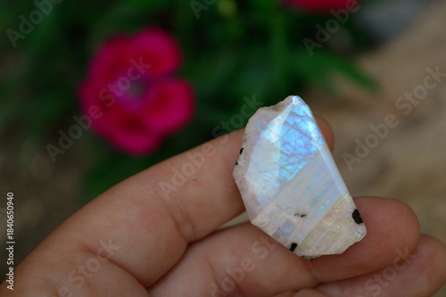 Принти на полотні hand with moonstone gem