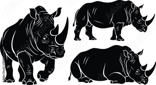 Silhouette vector three rhinoceros in distinct poses front view side view and lying pose isolated on white background bold stencil close up horn low angle contrast
